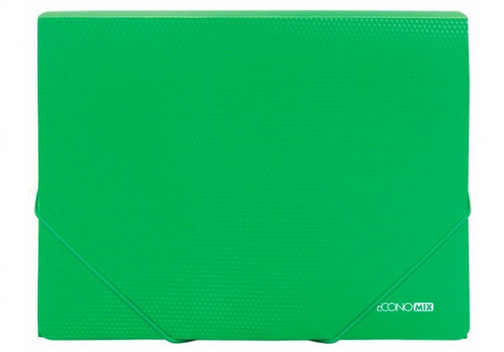 Папка на гумках ECONOMIX (E31601-04)